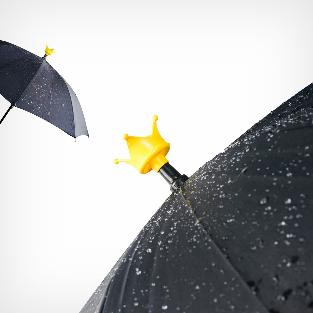 unique rain umbrellas