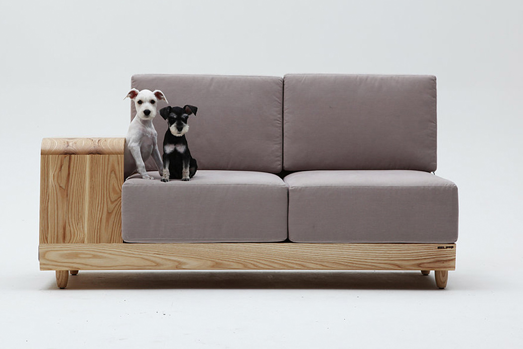 Its Time To Share Your Sofa With Your Pet 123 Design Blog