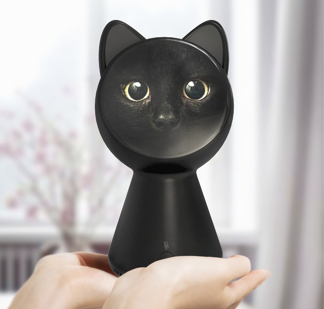 IOT ENABLED BLACK CAT CONTROLS YOUR HOME - 123 DESIGN BLOG