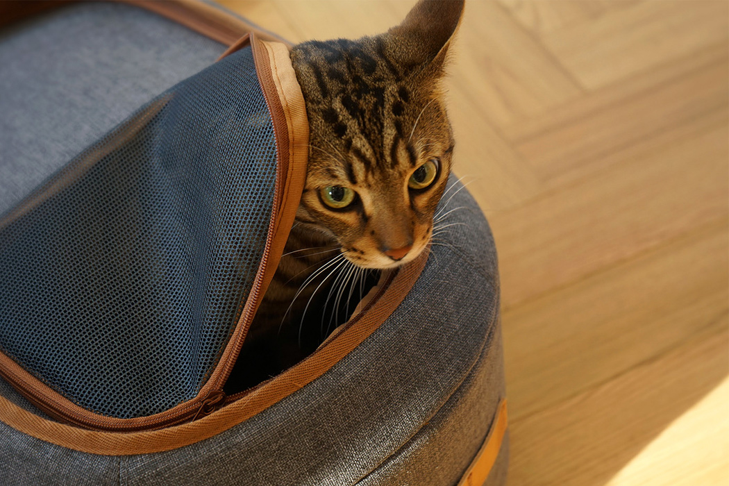 hidden pet carrier