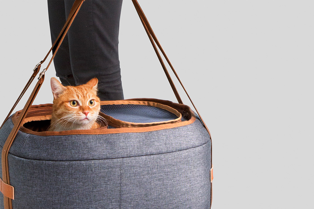 A BACKPACK, PET TRAVEL CARRIER AND BED 