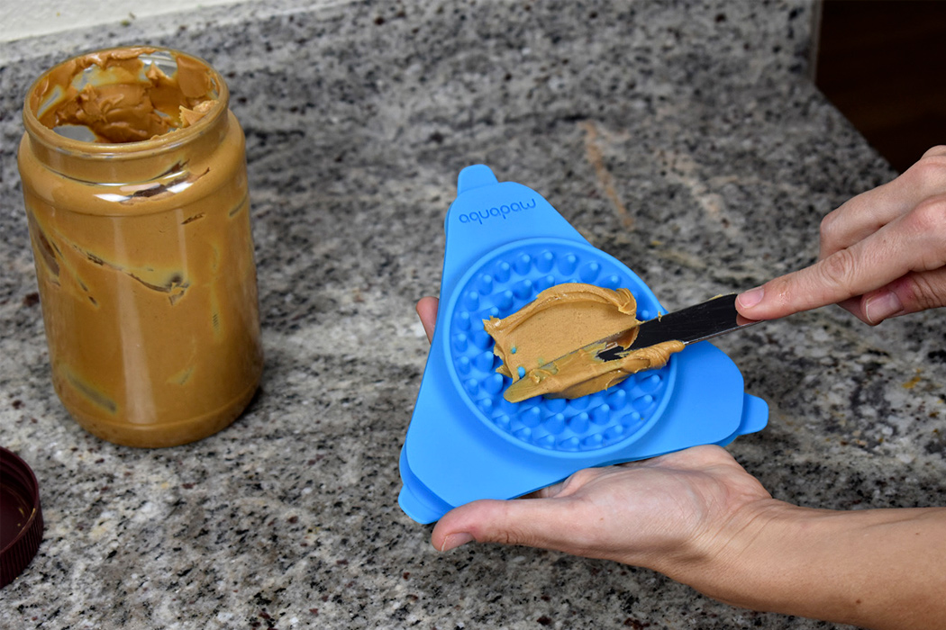 timed dog feeder petsmart