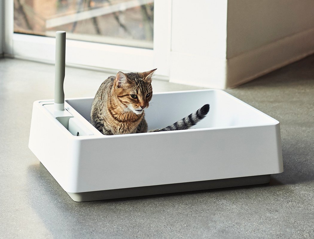 cat litter box target