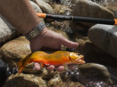 fish, tenkara rod, collapsible fly rod, teton fly rods, mini tenkara rod, japan fly fishing, packable tenkara rod, tenkara rod companies, tenkara rod kit, New best product development, best product design, best industrial designers, best design companies, enthusiasts here are your links to look into: best, review, industrial design, product design website, medical product design, product design blog, futuristic product design, smart home product design, product design portfolios, cool products, best products, cool designs, best designs, awesome new, best new, awesome products, cool stuff, best technology, awesome pictures, awesome photos, new products, new technology, cool, cool tech, new tech, awesome, product design product, industrial design, design, best design, best companies, 3dmodeling, modern, minimalism,