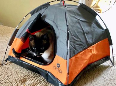 cat tent walmart, outdoor cat tent with tube, waterproof cat tent, cat tent bed, cat tent with tunnel, abo gear cat tent and tunnel, cat camp tent, outdoor cat tent and tunnel, New best product development, best product design, best industrial designers, best design companies, enthusiasts here are your links to look into: best, review, industrial design, product design website, medical product design, product design blog, futuristic product design, smart home product design, product design portfolios, cool products, best products, cool designs, best designs, awesome new, best new, awesome products, cool stuff, best technology, awesome pictures, awesome photos, new products, new technology, cool, cool tech, new tech, awesome, product design product, industrial design, design, best design, best companies, 3dmodeling, modern, minimalism, design studio